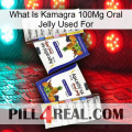 What Is Kamagra 100Mg Oral Jelly Used For 12